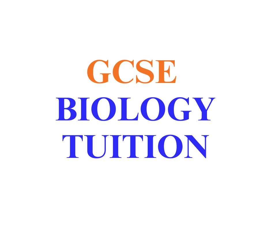 GCSE Biology Tuition in London, gcse biology tuition London, online gcse biology tutors London, gcse biology tutoring London, gcse biology courses London, gcse biology booster courses, gcse biology lessons, gcse biology exam, gcse biology practice, GCSE biology tuition, Biology tutoring GCSE, GCSE tutor biology